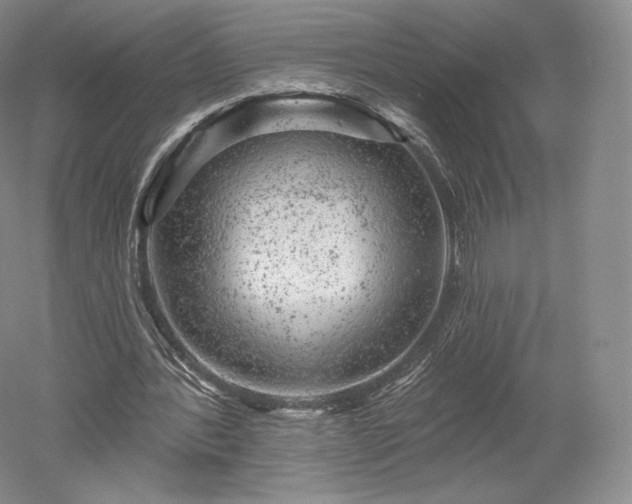 X0000052640388200507082011