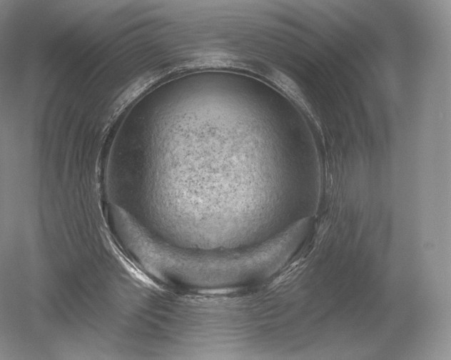 X0000052640389200507082011