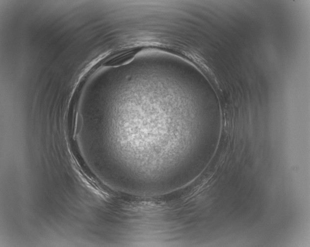 X0000052640390200507082011