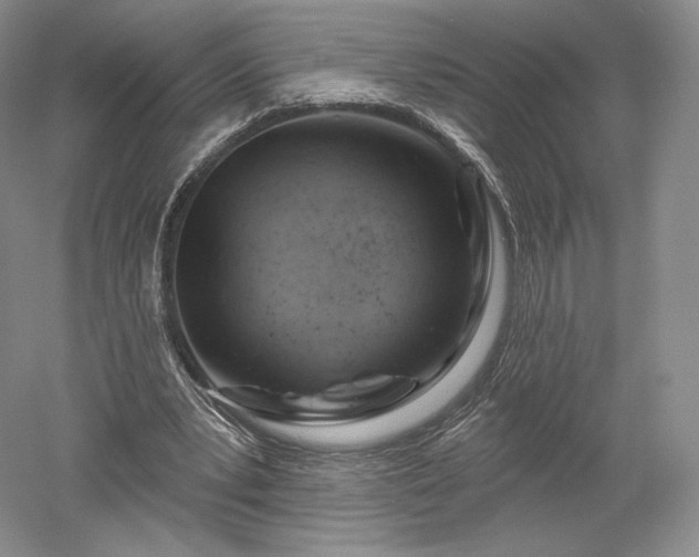 X0000052640391200507082011