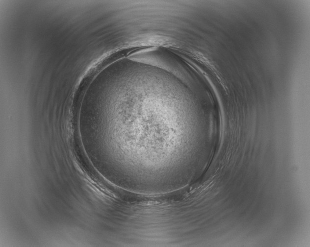 X0000052640392200507082011