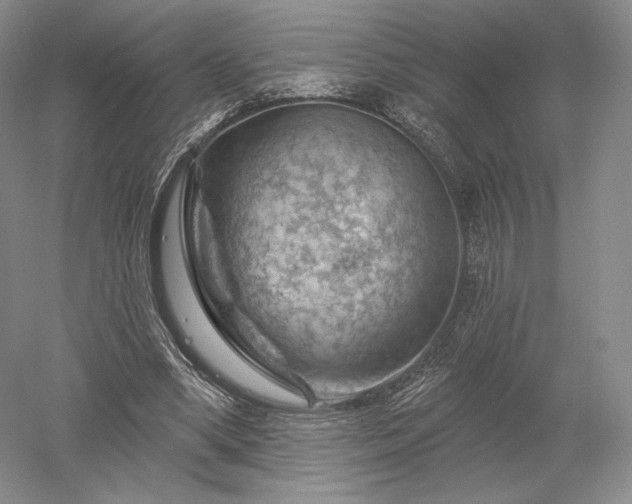 X0000052640394200507082011