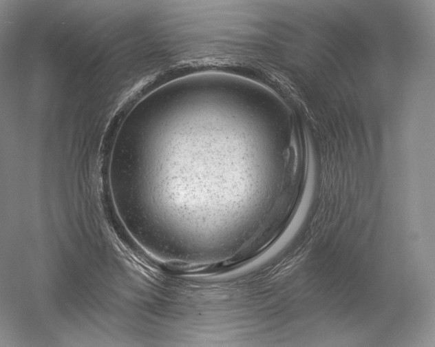 X0000052640395200507082011