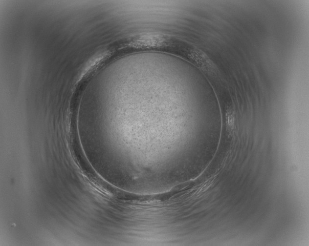 X0000052640396200507082011