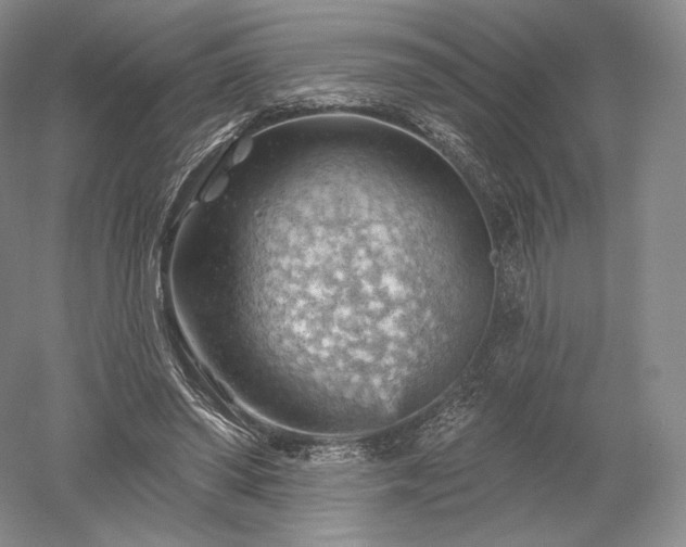 X0000052640398200507082011