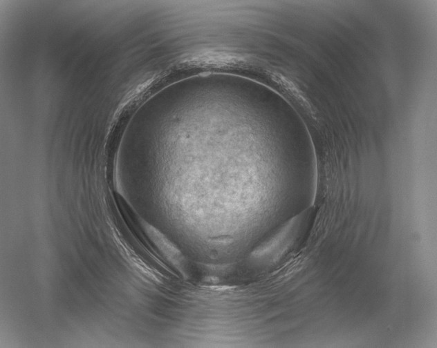 X0000052640399200507082011