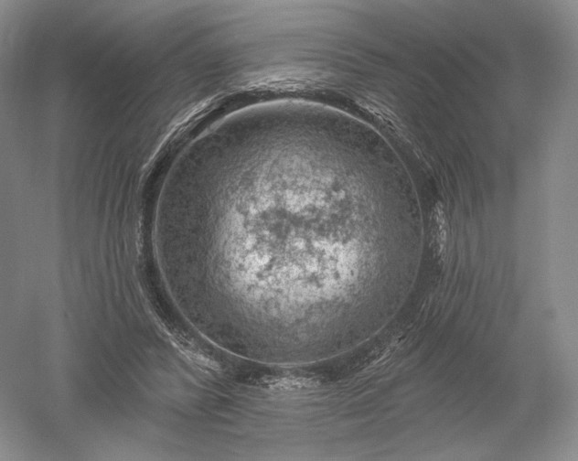 X0000052640400200507082011