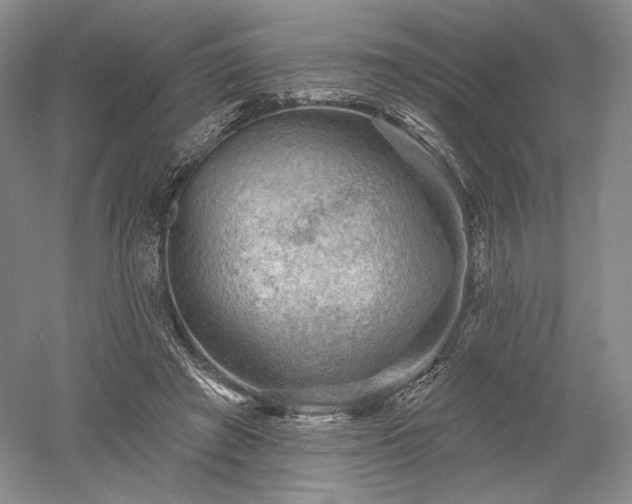 X0000052640401200507082011