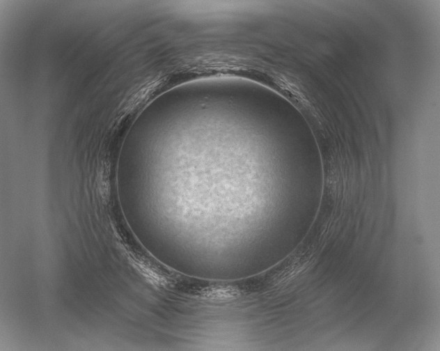 X0000052640402200507082011