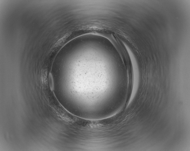 X0000052640403200507082011