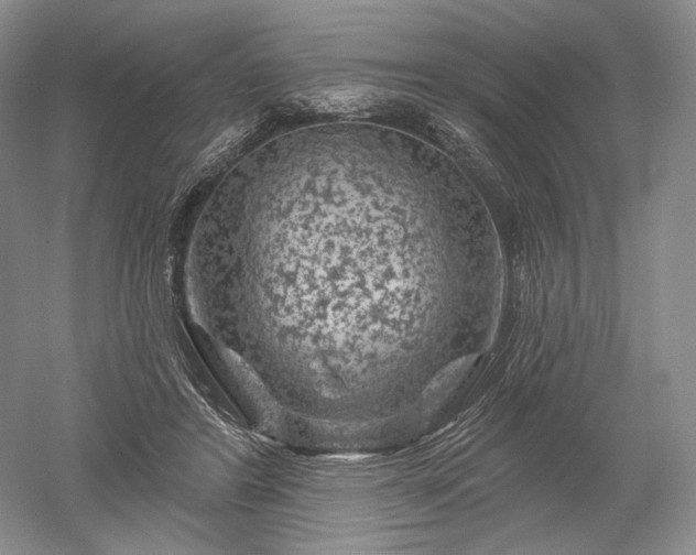 X0000052640404200507082011