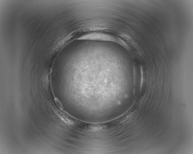 X0000052640405200507082011