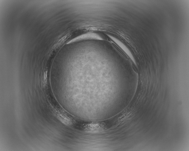 X0000052640406200507082011