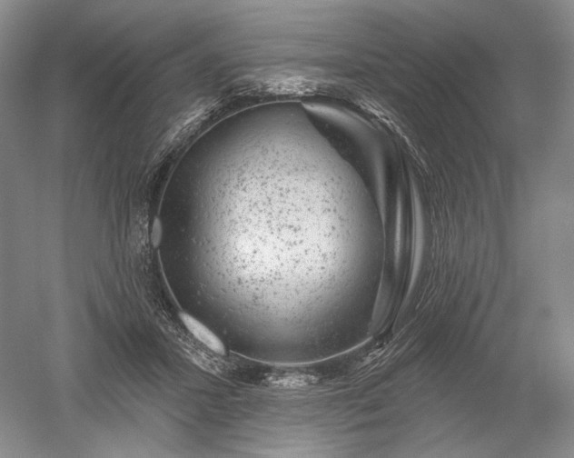 X0000052640407200507082011