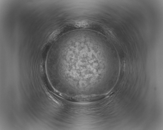 X0000052640408200507082011