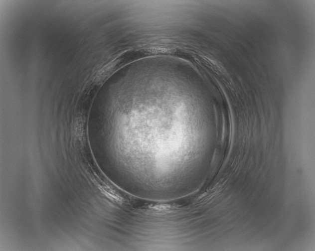 X0000052640409200507082011