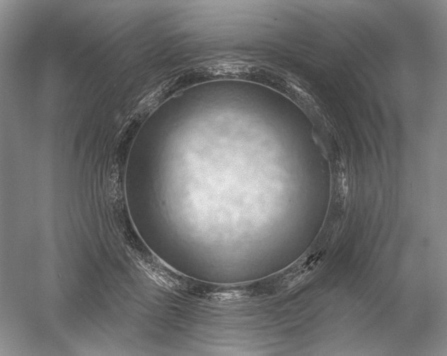 X0000052640411200507082011