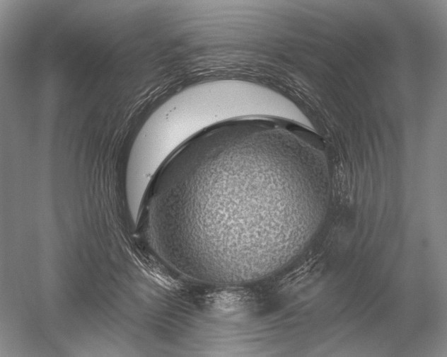 X0000052640412200507082011