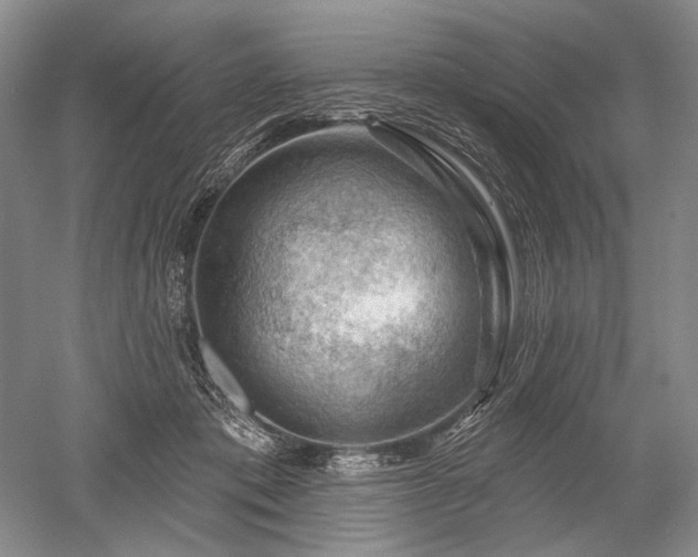 X0000052640413200507082010