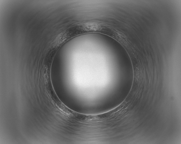 X0000052640414200507082010