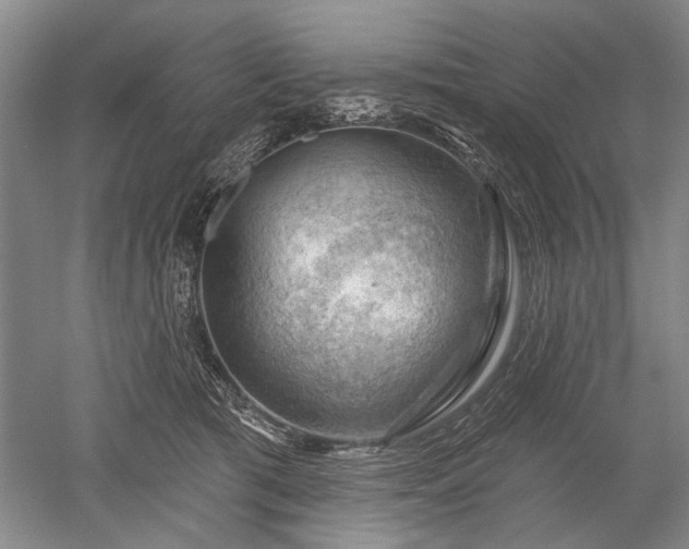 X0000052640417200507082010