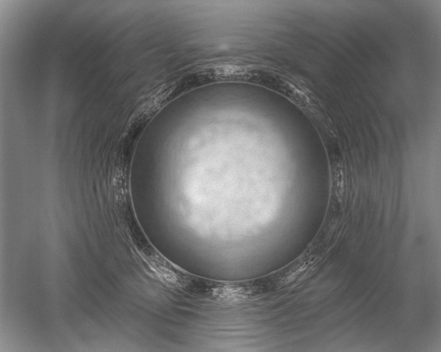 X0000052640419200507082010