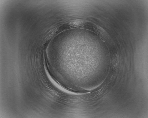 X0000052640420200507082010