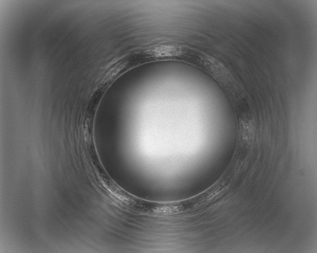 X0000052640422200507082010