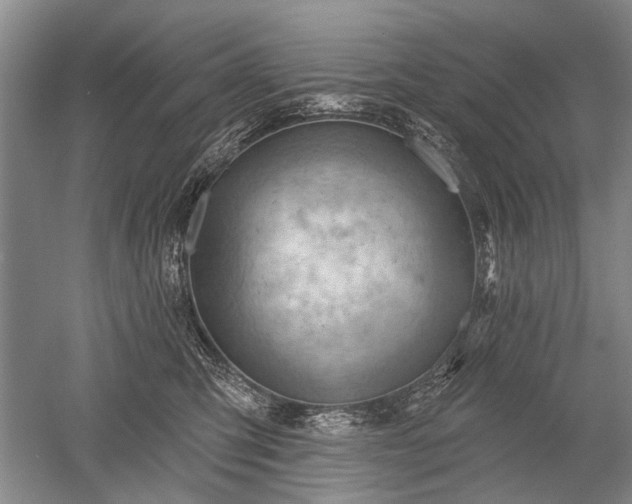 X0000052640423200507082010