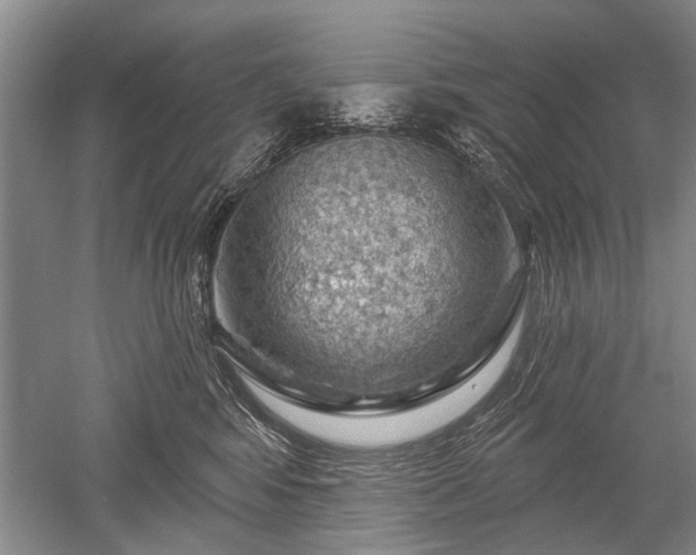 X0000052640424200507082010