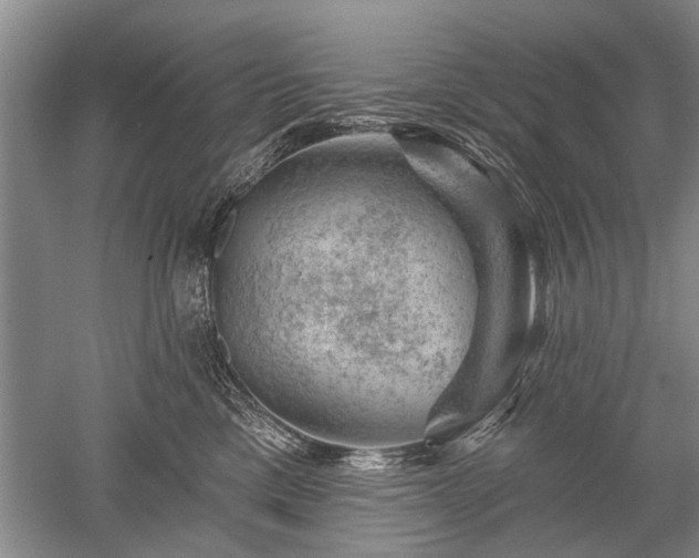 X0000052640425200507082010