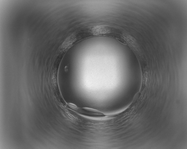 X0000052640426200507082010