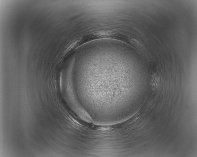 X0000052640428200507082010