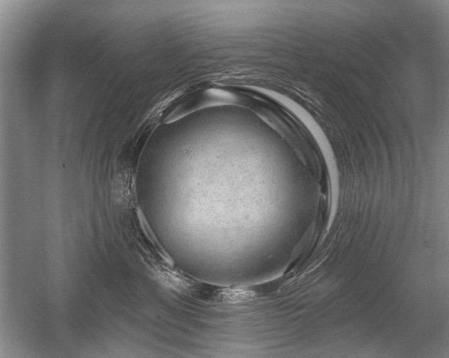 X0000052640429200507082010