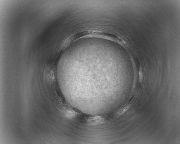 X0000052640431200507082010