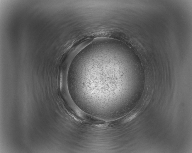 X0000052640432200507082010