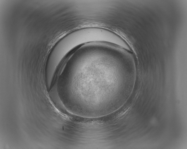 X0000052640433200507082009