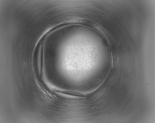 X0000052640435200507082009