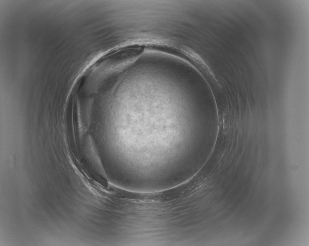 X0000052640436200507082009