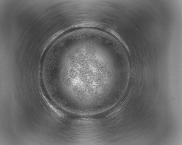 X0000052640437200507082009