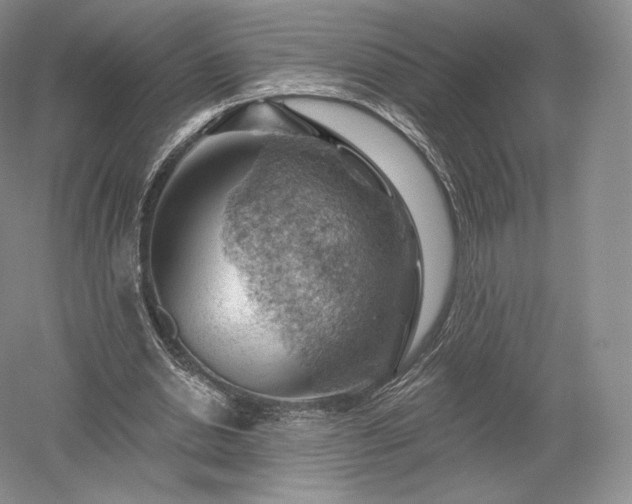 X0000052640438200507082009