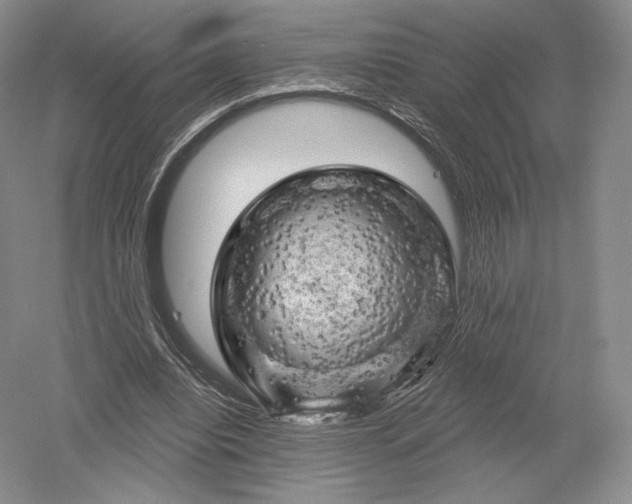 X0000052640440200507082009
