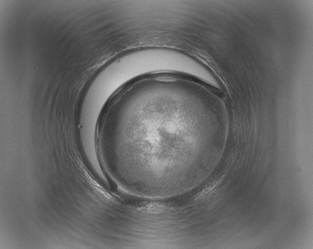 X0000052640441200507082009