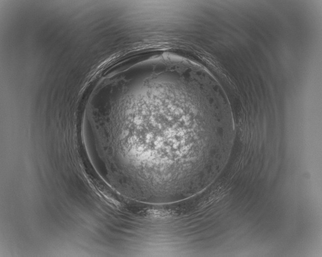 X0000052640442200507082010