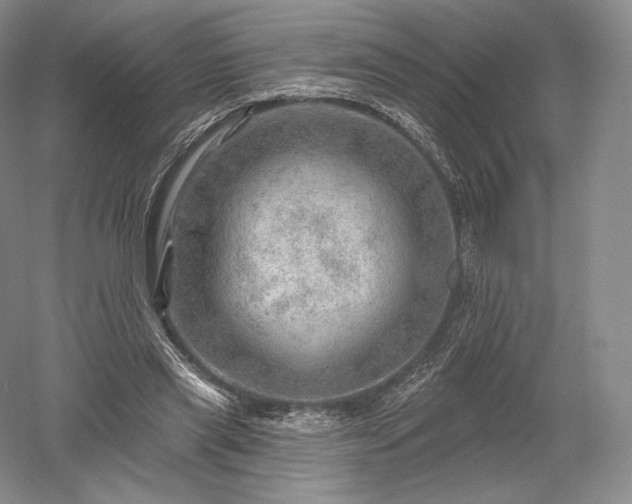 X0000052640445200507082010