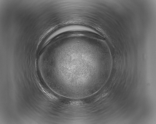 X0000052640446200507082010