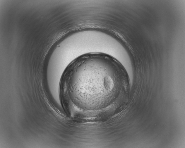 X0000052640447200507082010