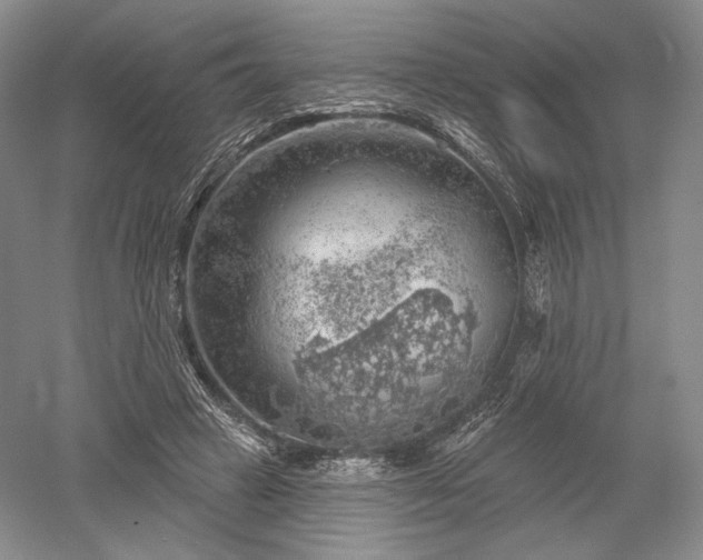 X0000052640449200507082010