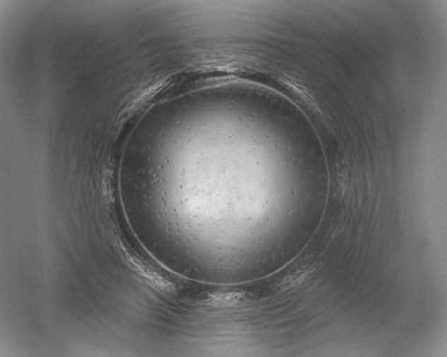 X0000052640450200507082010