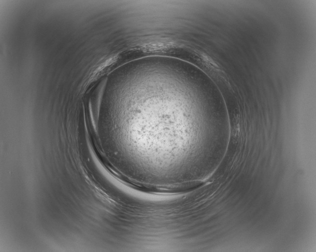 X0000052640452200507082010